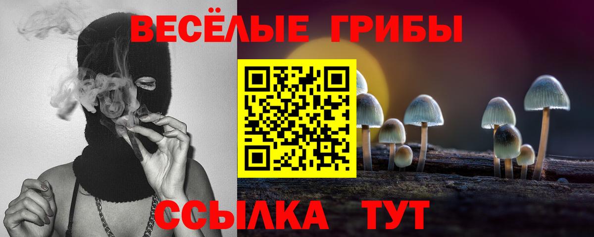 Волжск  Псилоцибиновые грибы GOLDEN TEACHER  Вход с VPN 